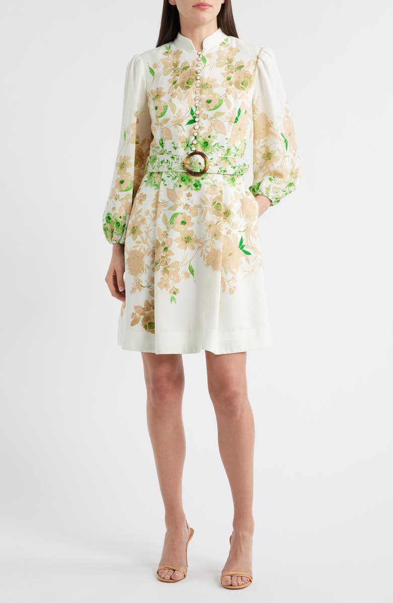 Tahari ASL Border Print Belted Long Sleeve Dress, Main, color, Ivory Fern
