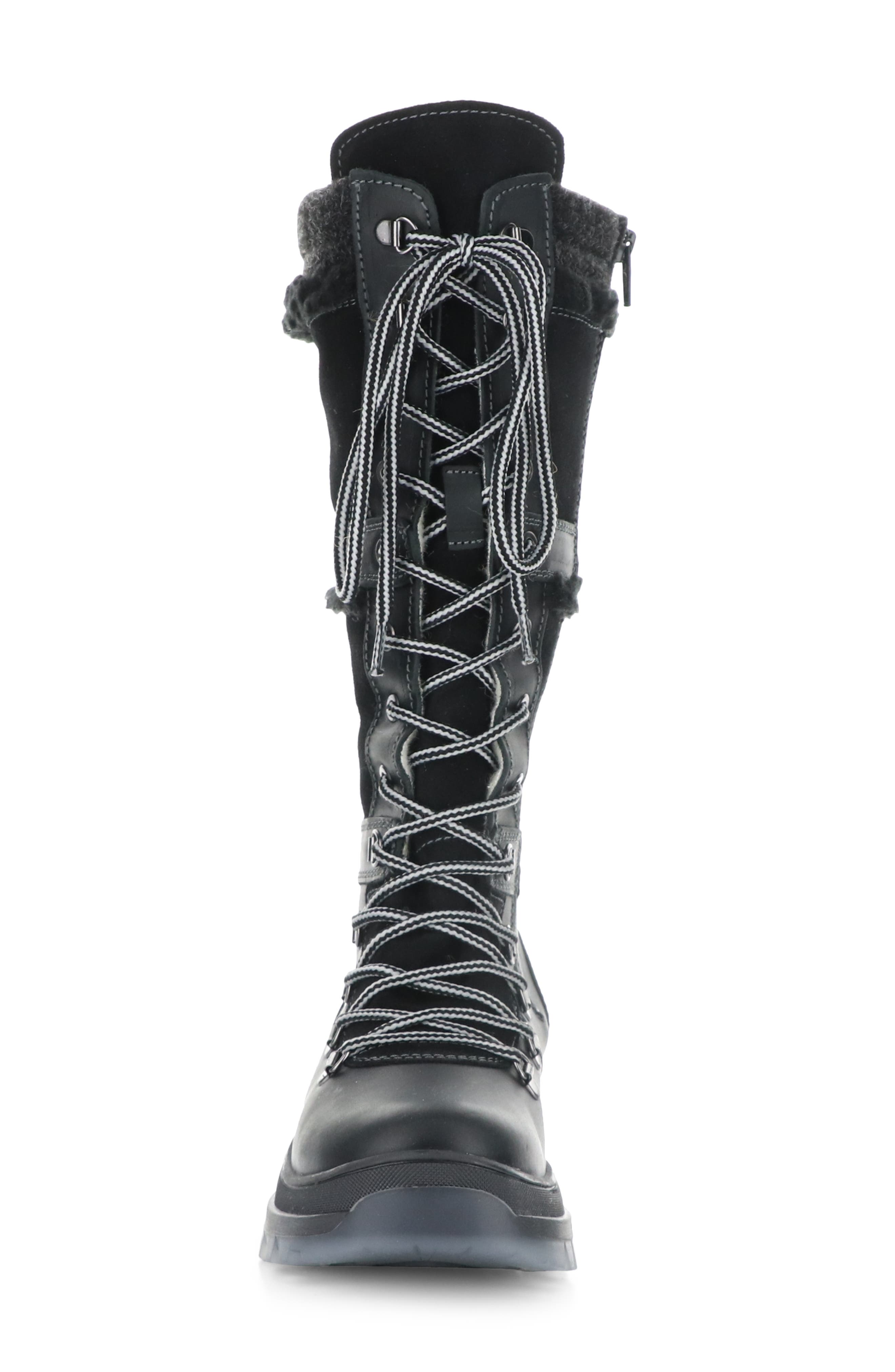 Bos. & Co. Daws Waterproof Winter Boot, Alternate, color, 