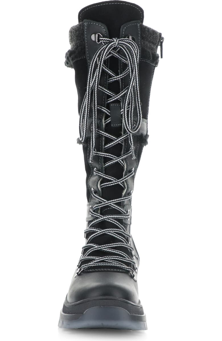 Bos. & Co. Daws Waterproof Winter Boot, Alternate, color,