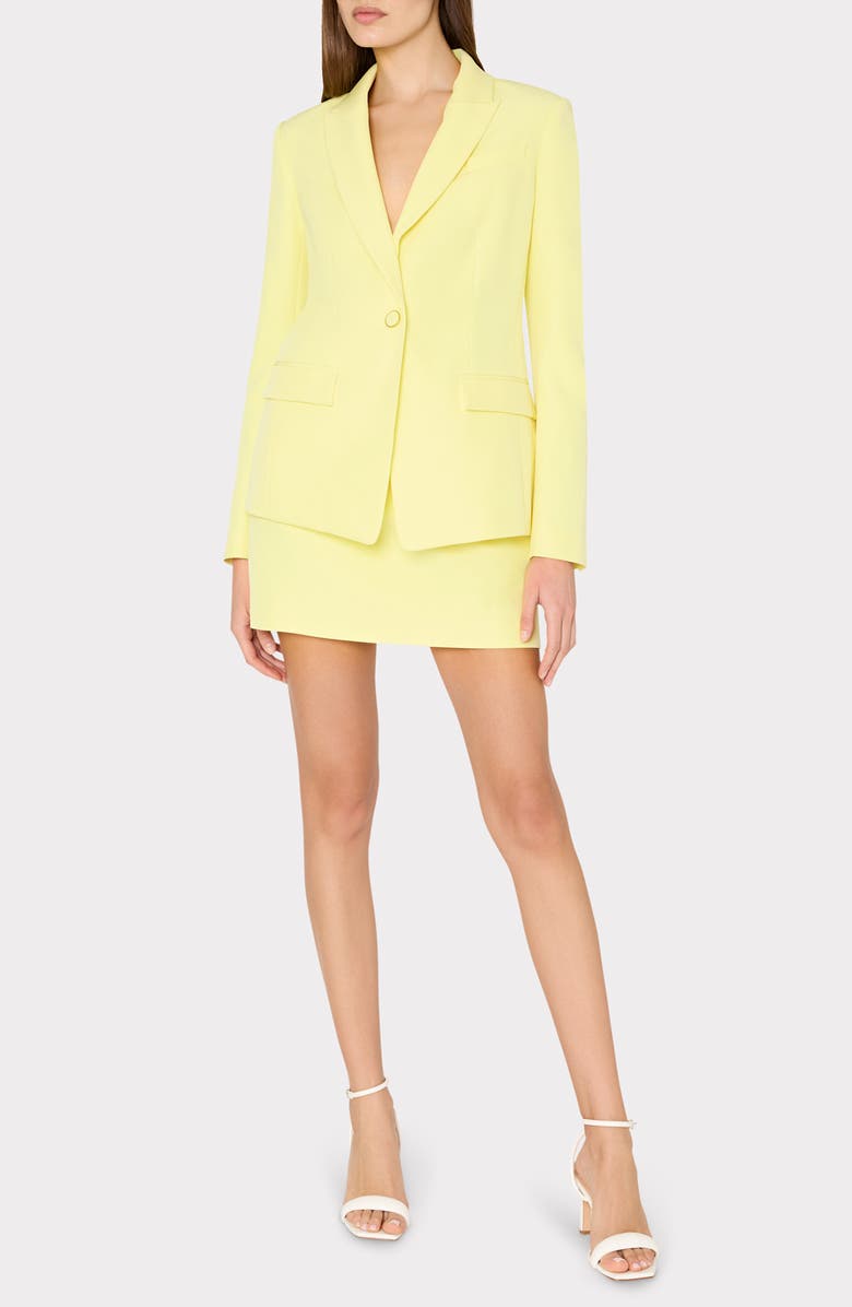 Milly Lizzy Cady Miniskirt, Main, color, 