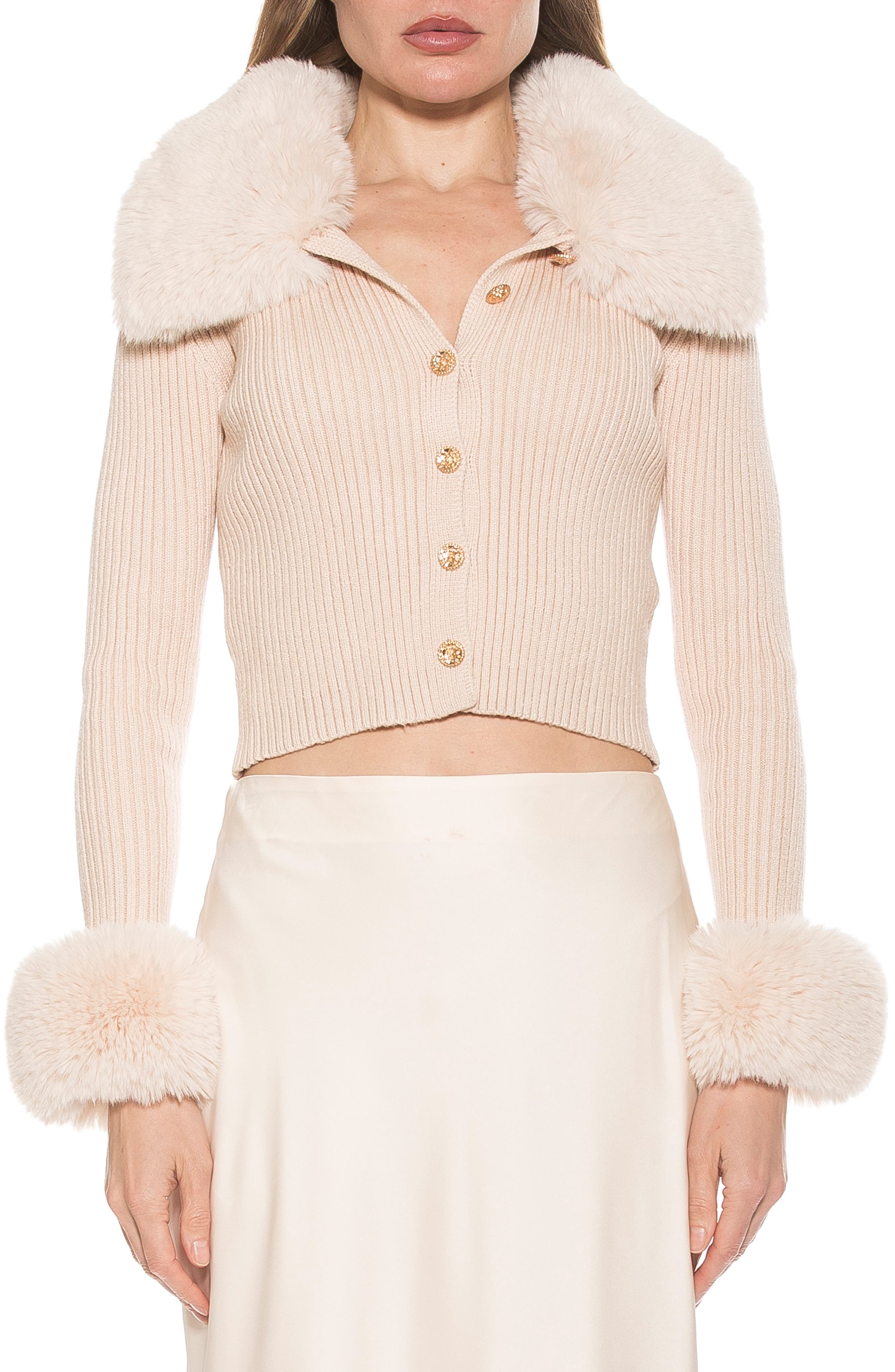 selected IVORY