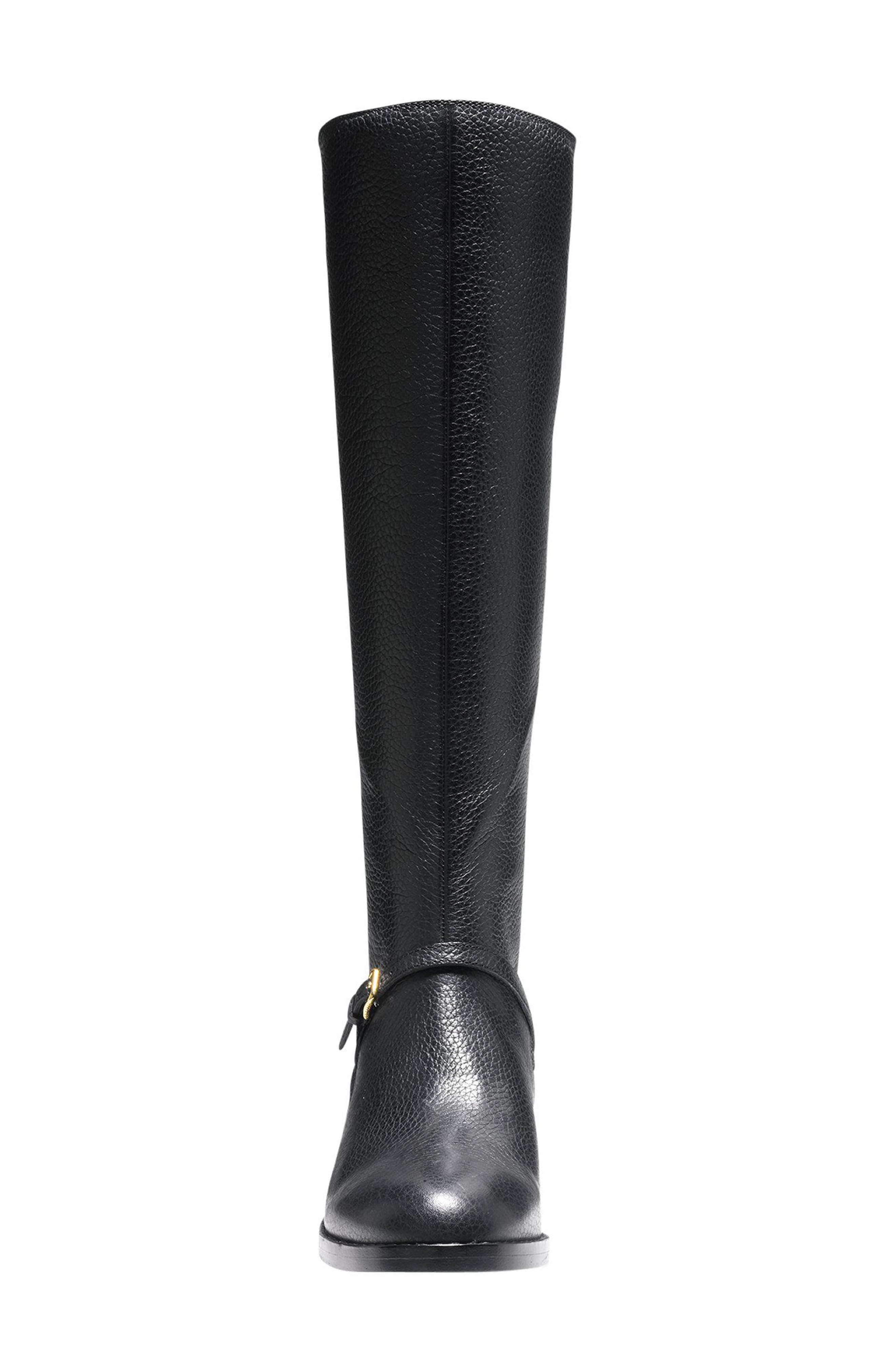 Cole Haan Pearlie Tall Boot, Alternate, color, 