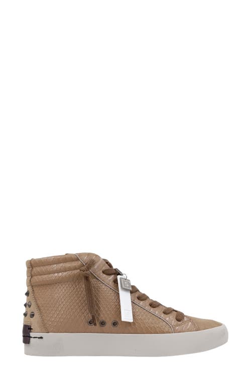 Shushop Reese High Top Sneaker In Brown