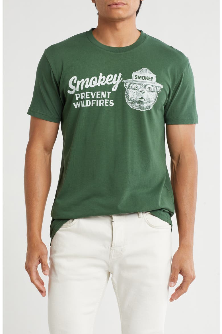 Smokey Cotton Graphic T-Shirt, Main, color, GREEN