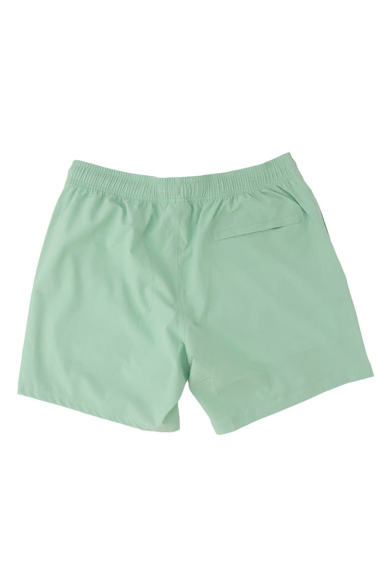Men's UPF50+ Color Changing Performance Hybrid Swim Trunks, Alternate, color, Sage Mallards