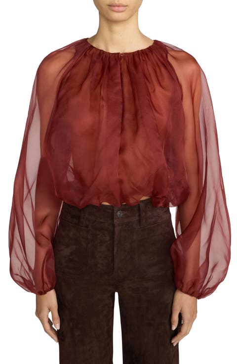 Sheer Silk Top
