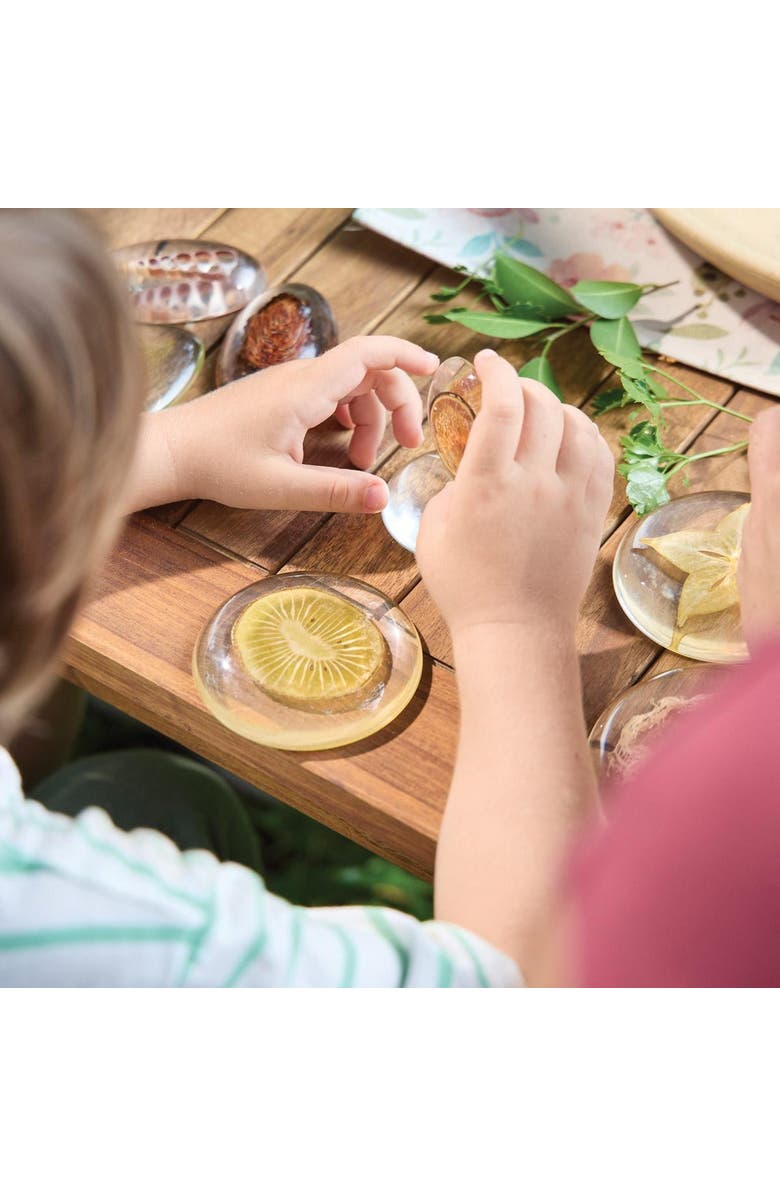 Kaplan Early Learning Company Acrylic Nature's Cross Sections, Alternate, color, Multicolored