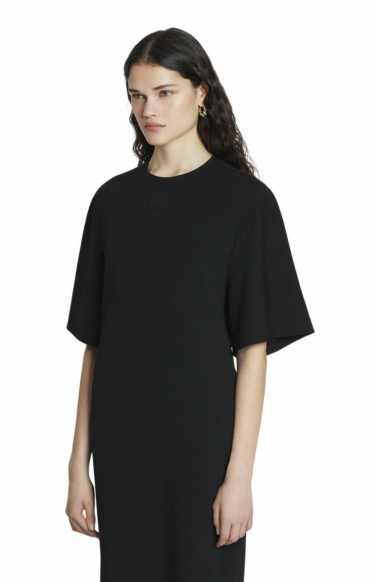 Lanvin T-Shirt Dress In Jersey, Alternate, color, 
