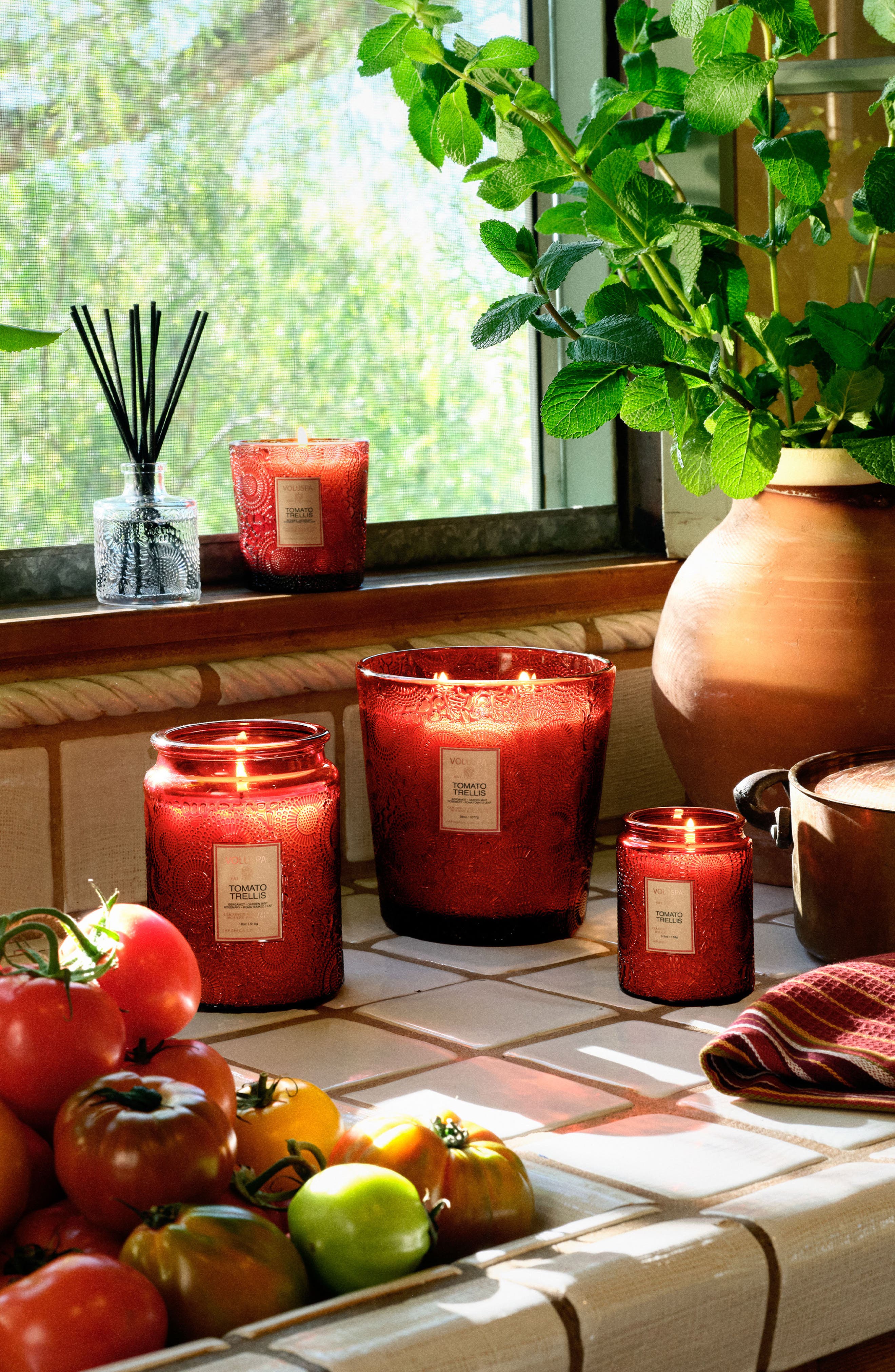 Voluspa Tomato Trellis Small Jar Candle | Nordstrom