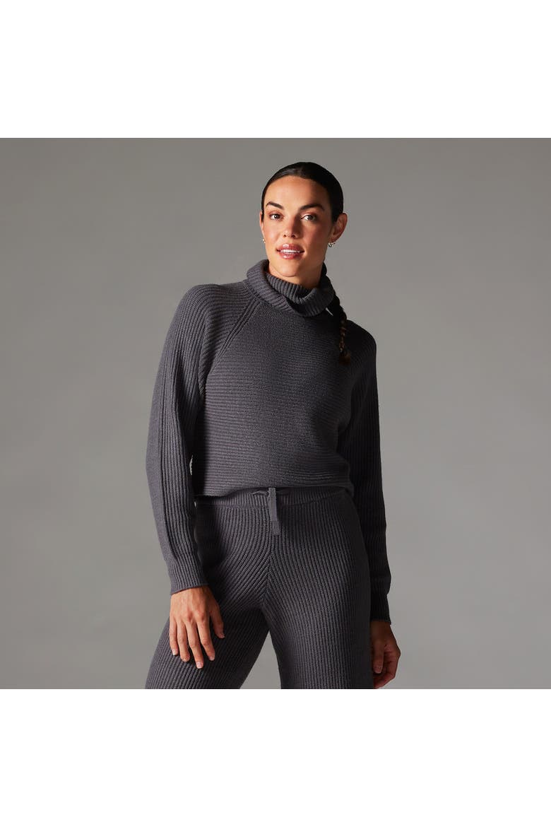 Alpine Knit Turtle Neck, Alternate, color, GLACIAL