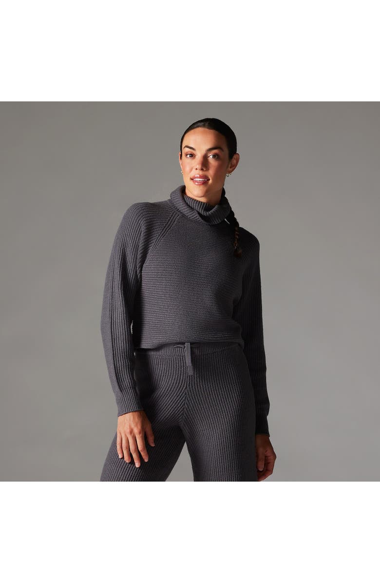 Tavi Alpine Knit Turtle Neck, Alternate, color, Glacial