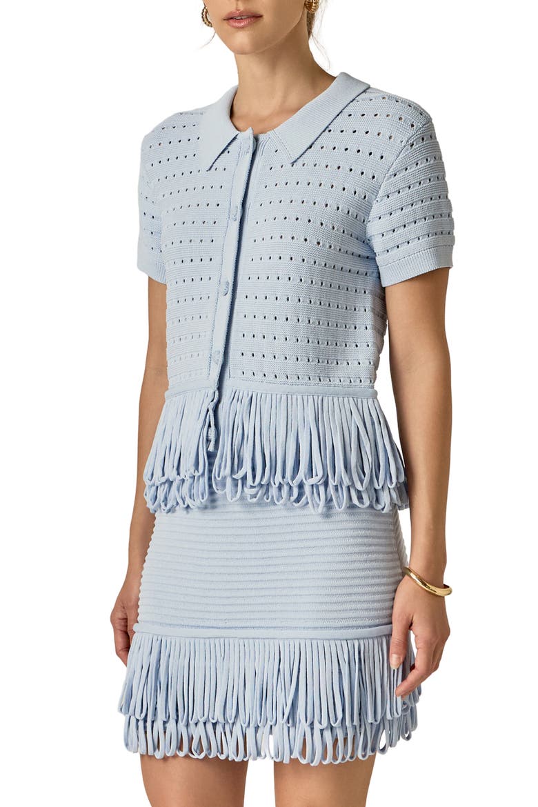 Fringe Trim Knit Button-Up Top, Alternate, color, POWDER BLUE