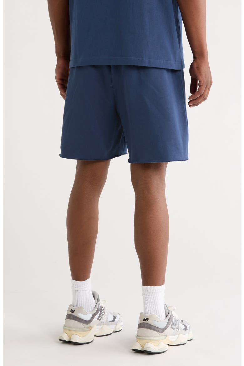 Cotton Fleece Shorts, Alternate, color, BLUE