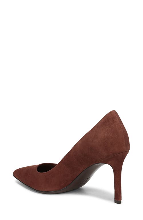 Naturalizer Anna Pointed Toe Pump In Brown