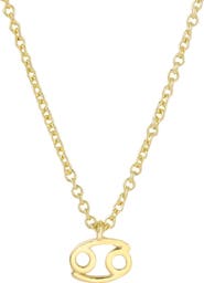 Adornia Zodiac Sign Pendant Necklace