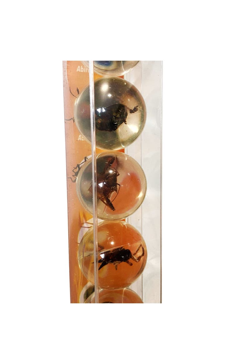 Real Bug Marbles, Alternate, color, None