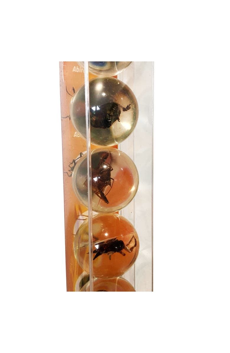GEOWORLD Real Bug Marbles, Alternate, color, NO COLOR