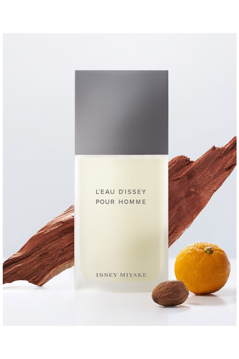 L'Eau d'Issey pour Homme Eau de Toilette, Alternate, color, NO COLOR