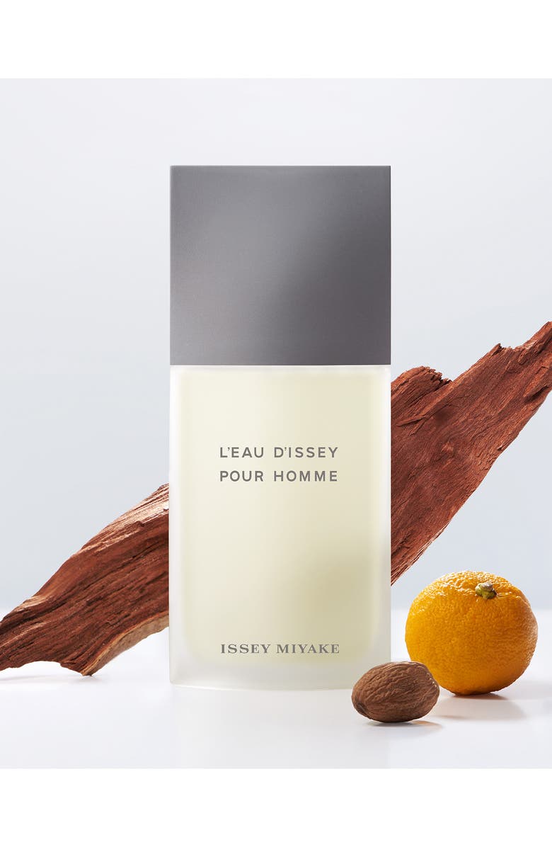 Issey Miyake L'Eau d'Issey pour Homme Eau de Toilette, Alternate, color, 