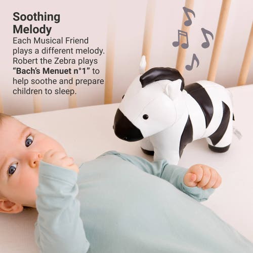 Little Big Friends Musical Animals In Multi