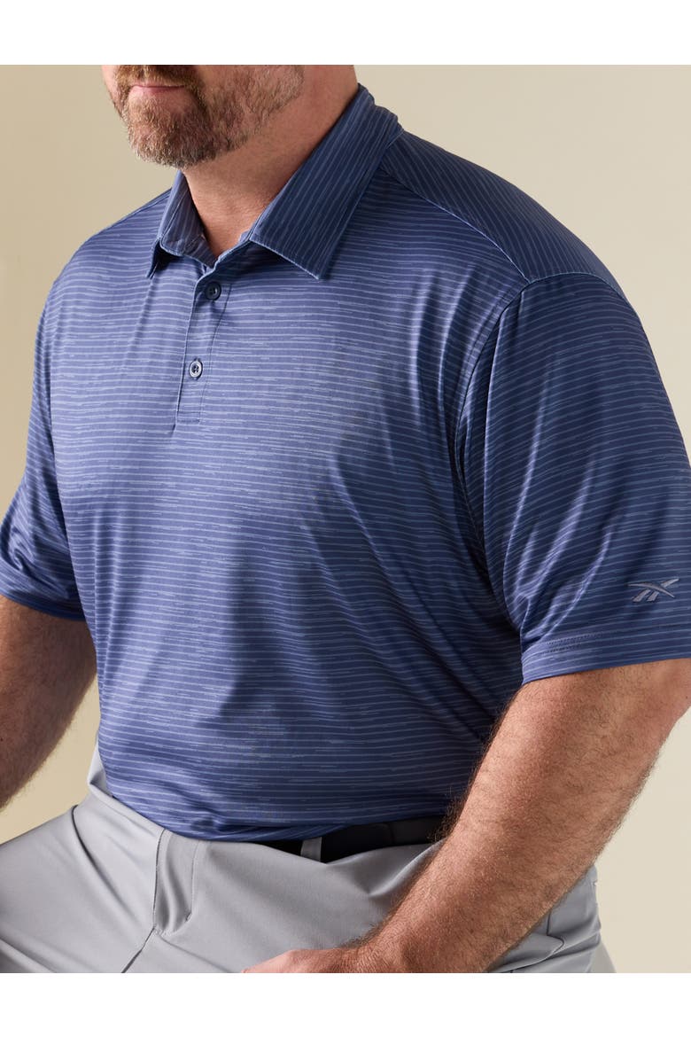 Big & Tall Performance Striped Polo Shirt V3, Alternate, color, LEGACY BLUE