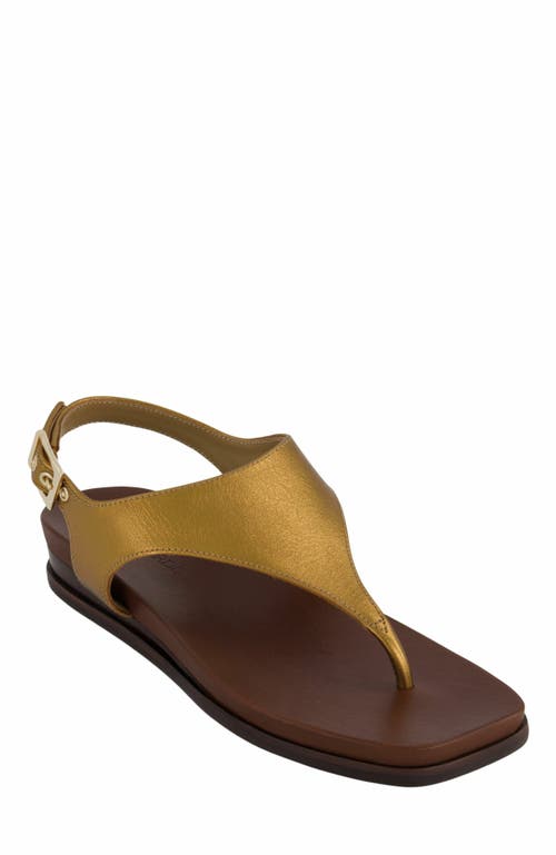 Bernardo Footwear Concord Demi-wedge Sandal In Brown