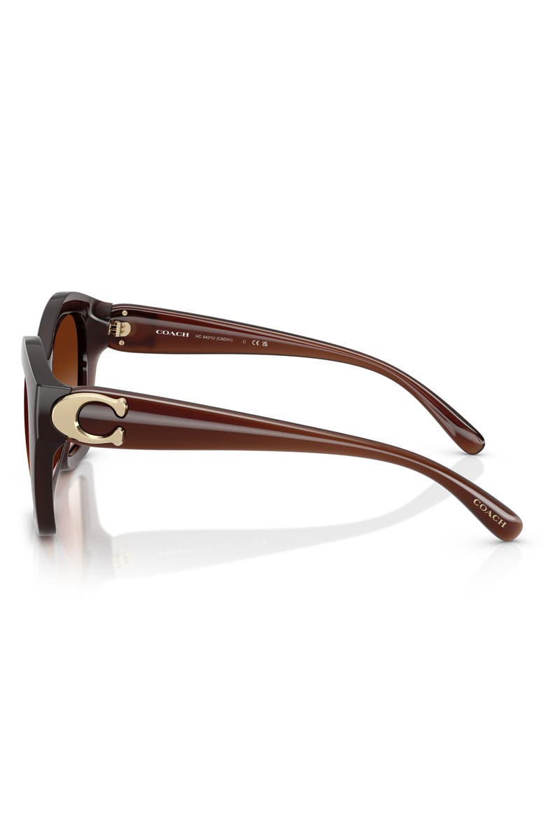 COACH 57mm Irregular Round Sunglasses, Alternate, color, Milky Hazelnut / Brown