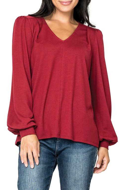 Gibsonlook V-neck Sweater In Brown