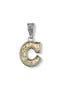  Silver/Gold C