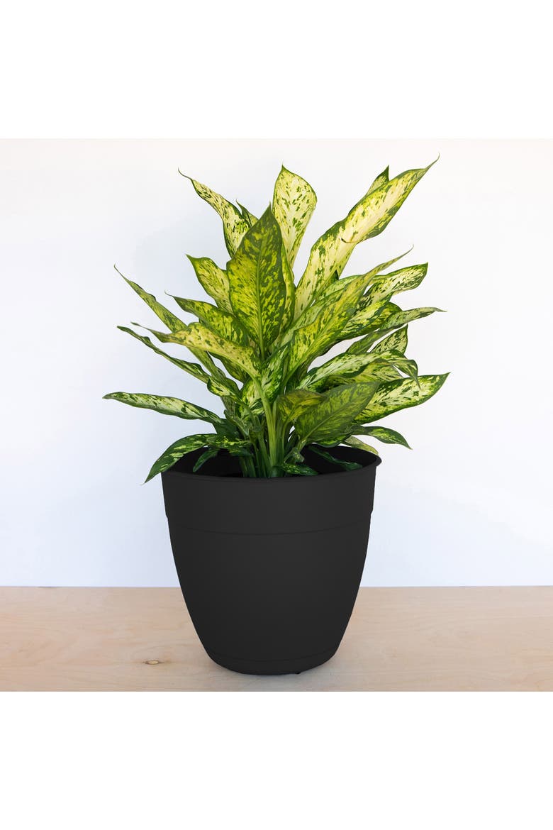 Dayton Gardening Planter with Saucer Tray, 12 Inch W x 11 Inch H Black, Alternate, color, Black