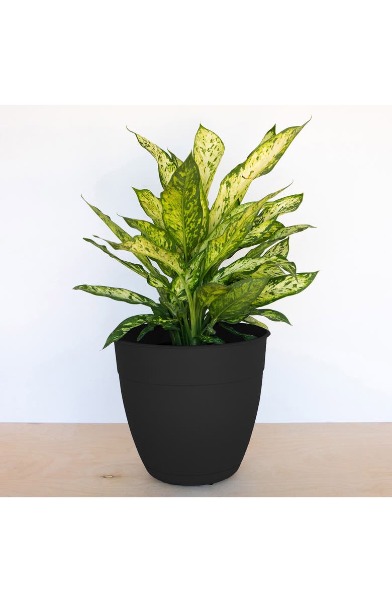 Bloem Dayton Gardening Planter with Saucer Tray, 12 Inch W x 11 Inch H Black, Alternate, color, 