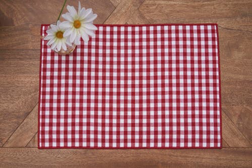 C & F Home C&f Home Americana 4th Of July Patriotic Reversible Check Plaid Placemat Set 6 In Red