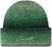 Carhartt Work In Progress Tony Gradient Stripe Bouclé Beanie