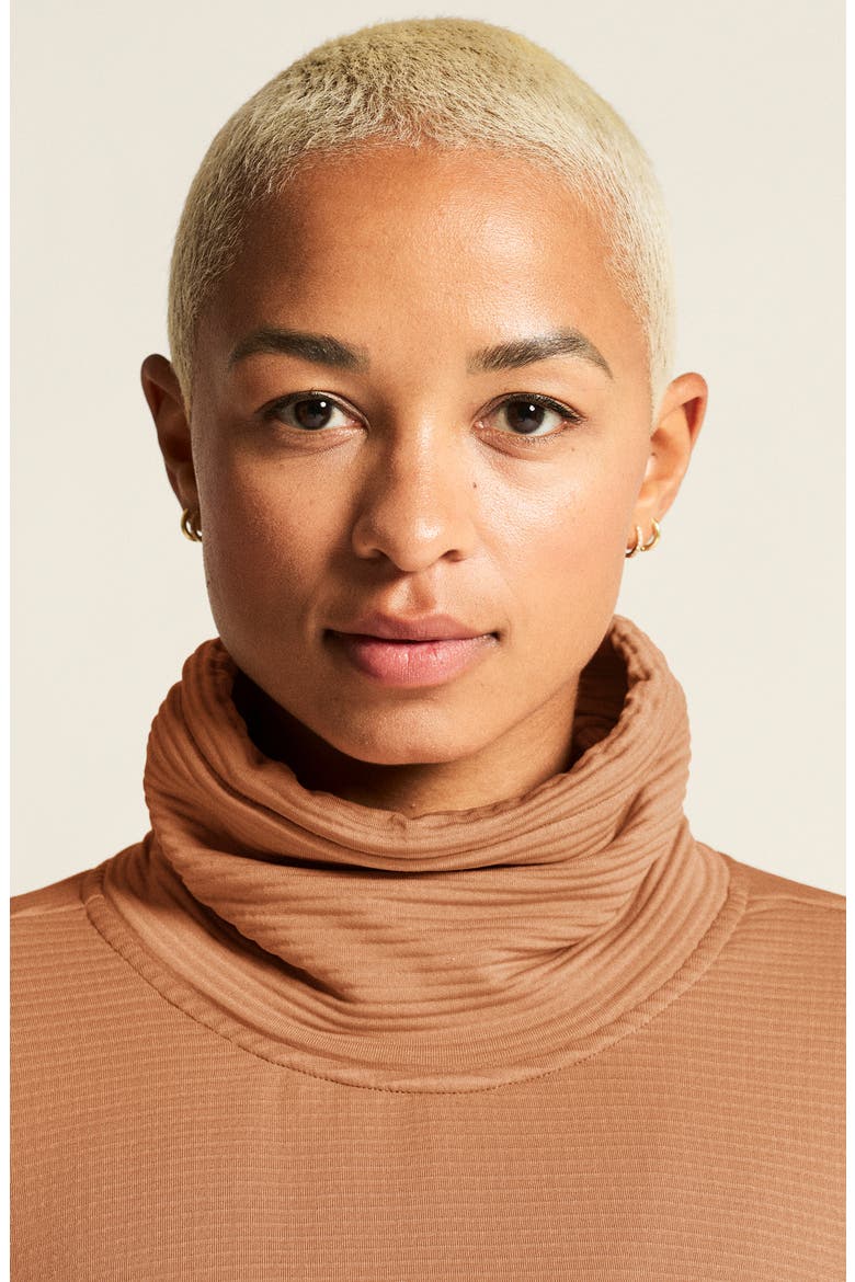 Subz Turtleneck Jersey Sweatshirt, Alternate, color, SYRUP