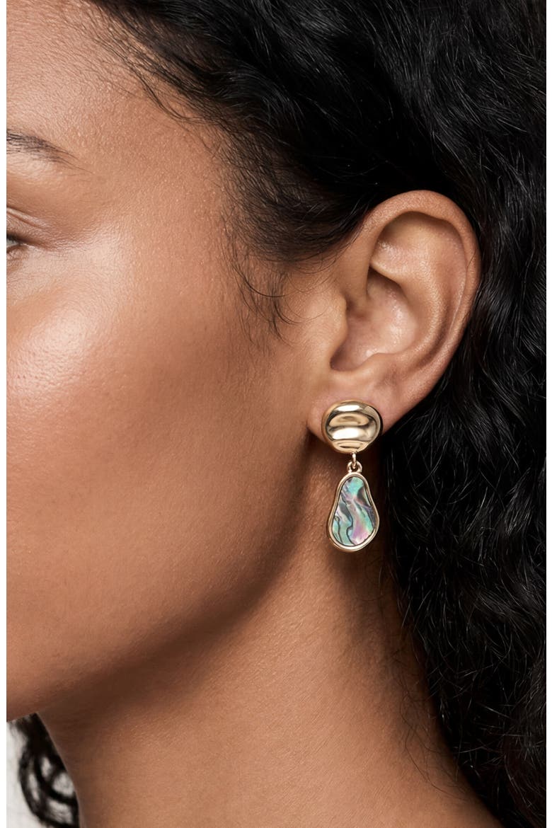 Abalone Drop Earrings, Alternate, color, GOLD