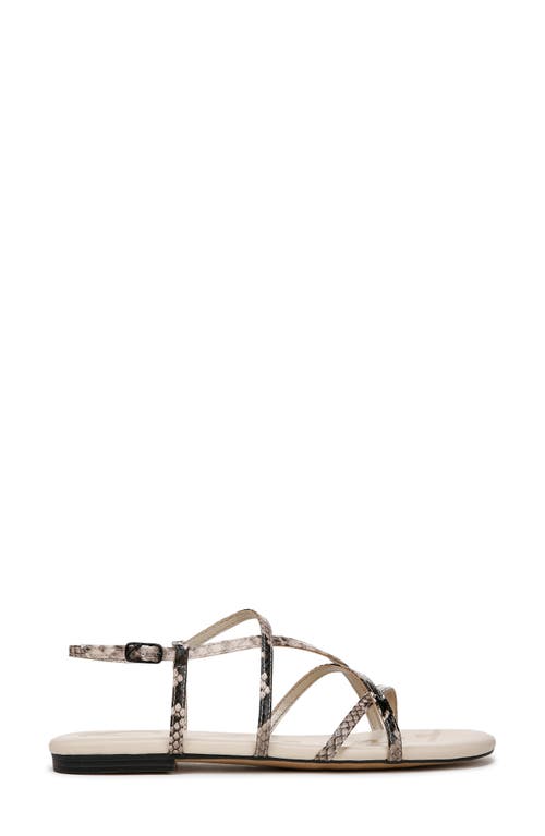 Circus Ny By Sam Edelman Rebecca Strappy Flat Sandals In Mocha Multi