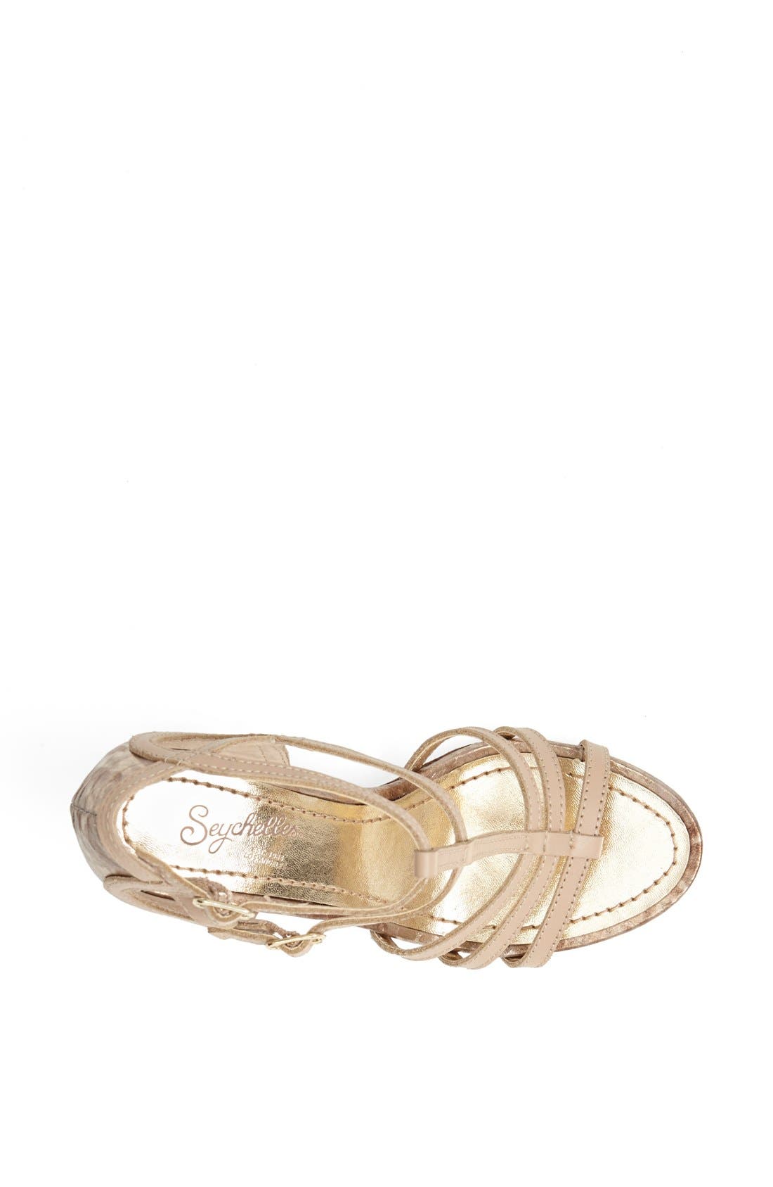 'In Control' Wedge Sandal, Alternate, color, VACCHETTA