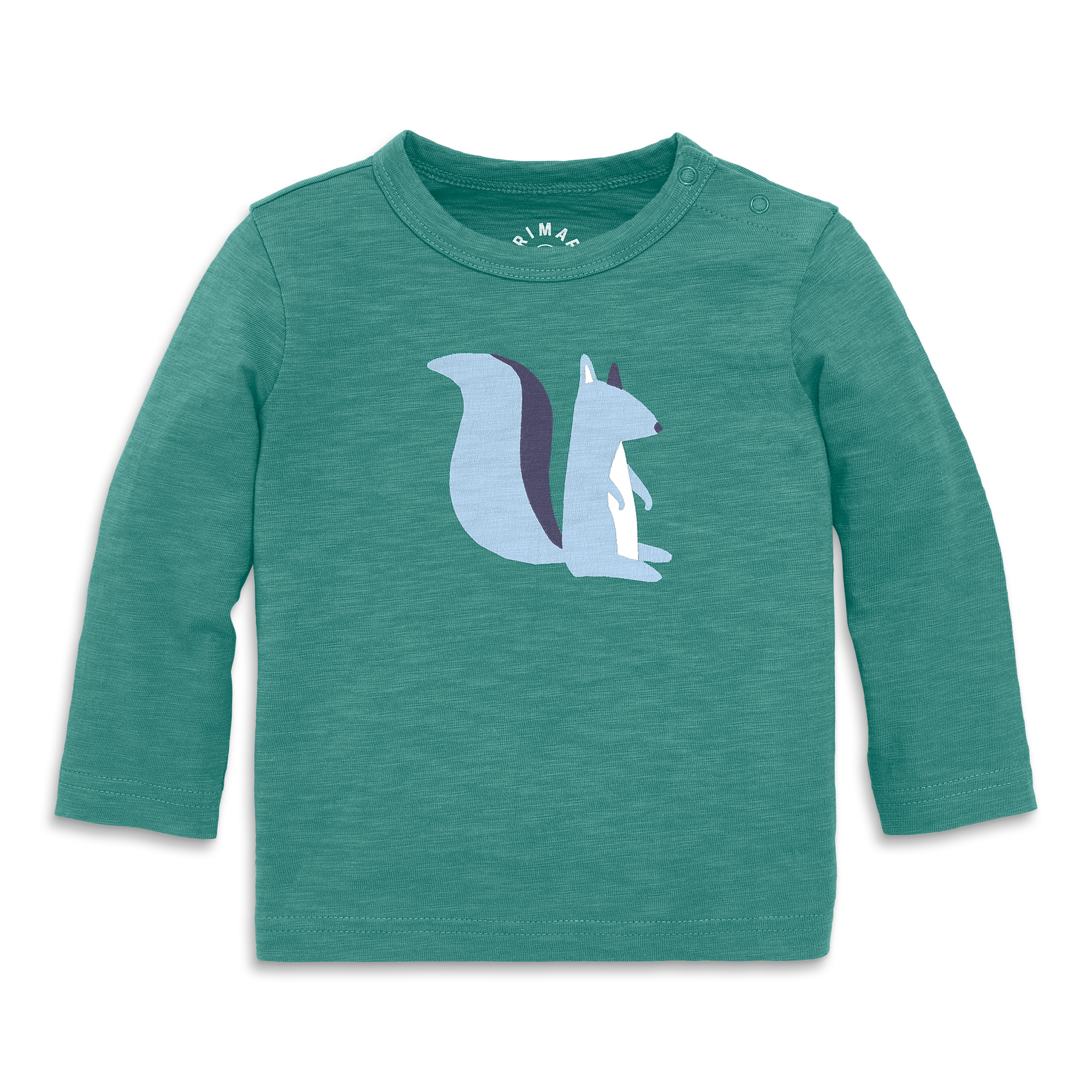 selected Sunwashed Teal Squirrel