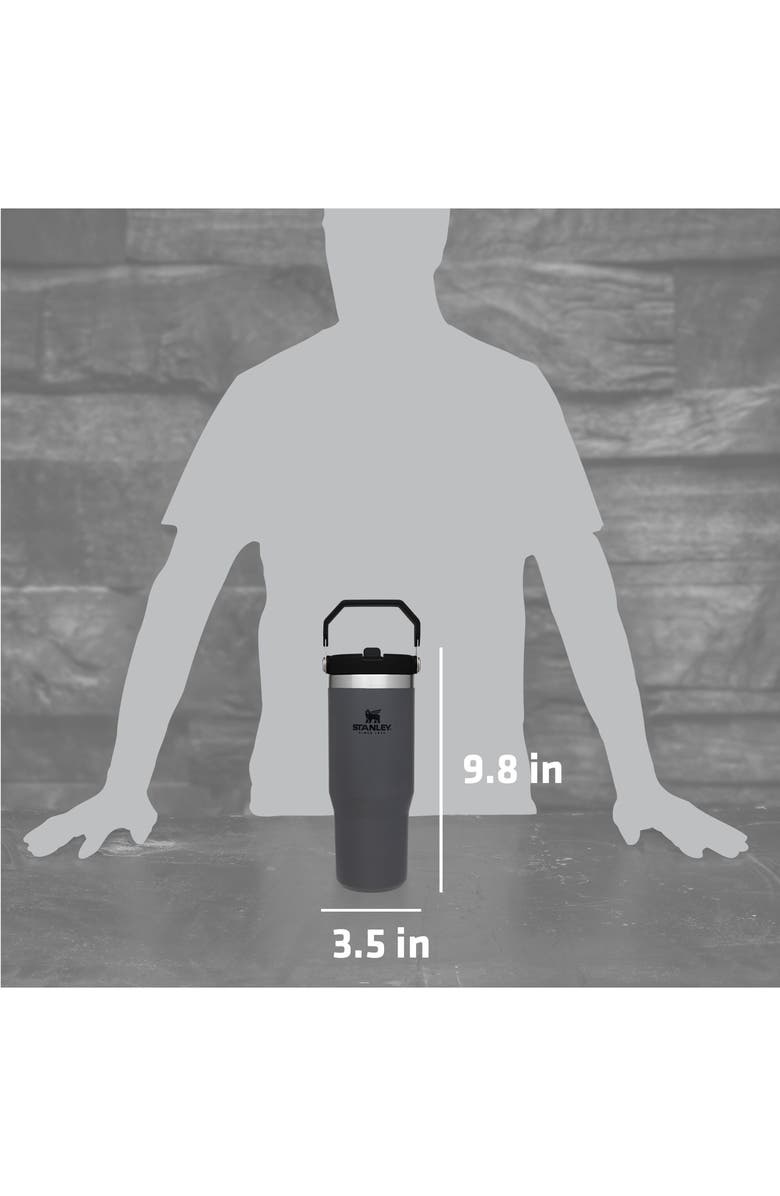 Stanley The Ice Flow 30-Ounce Flip Straw Tumbler, Alternate, color, 