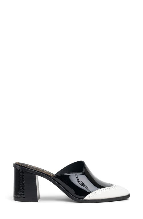 The Office Of Angela Scott Ms. Johanna Wingtip Mule In Black
