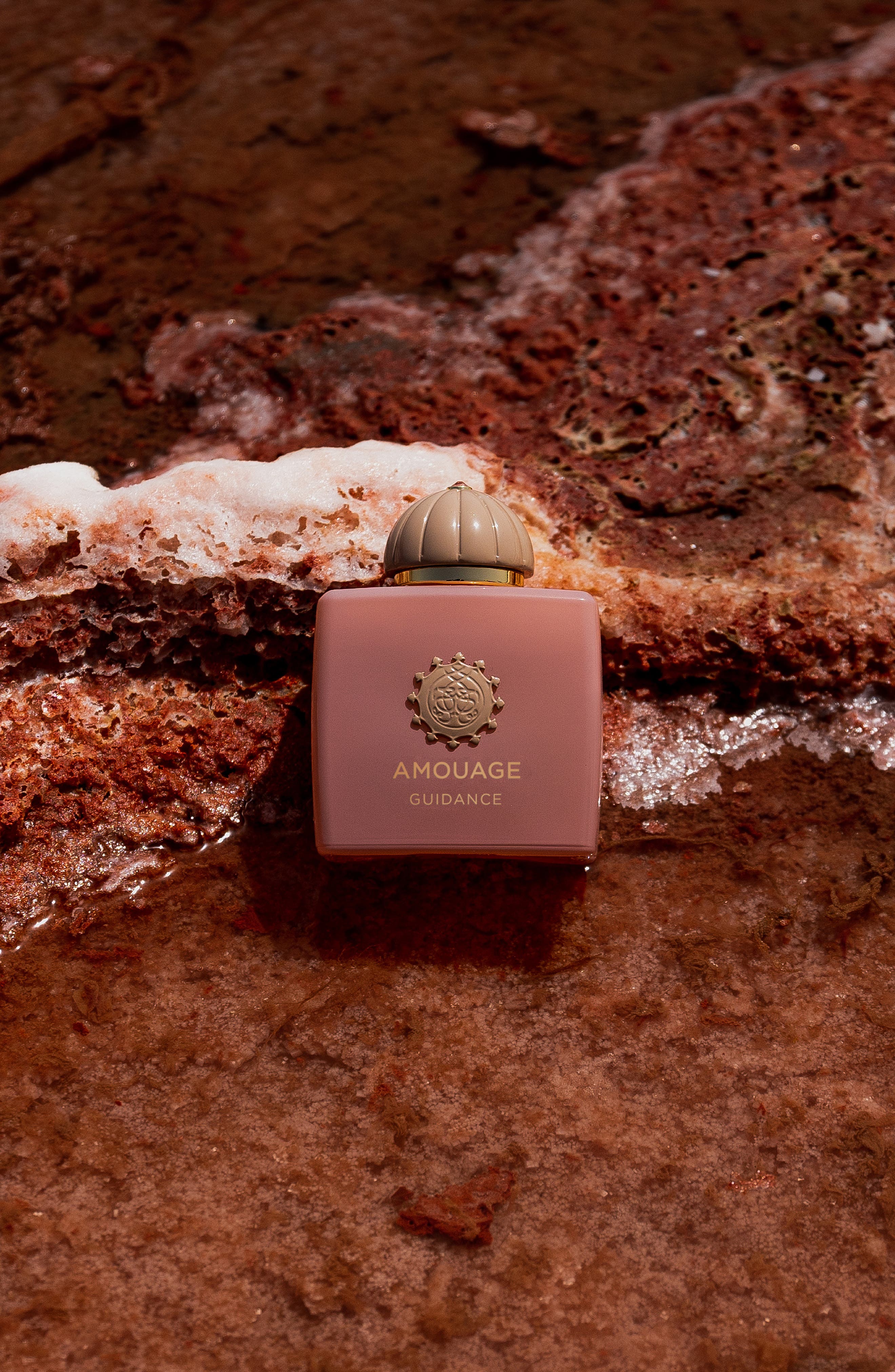 香水(女性用) AMOUAGE GUIDANCE Eau de Parfum 100ml Guidance Eau de Parfum (Women) | Nordstrom