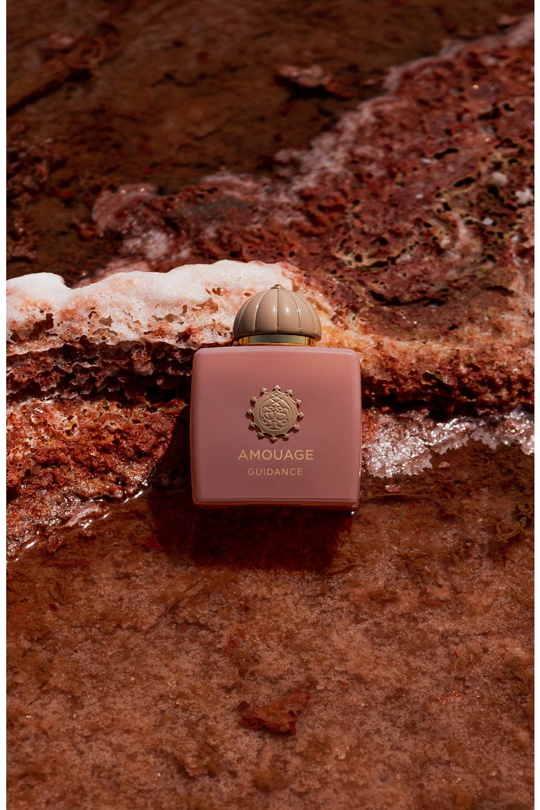 Guidance Eau de Parfum (Women) | Nordstrom