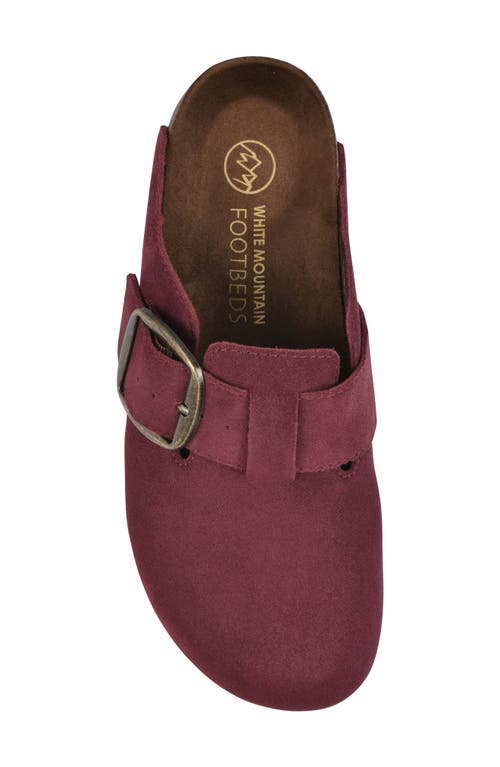 Cliffs By White Mountain Big Easy Buckle Mule In Multi