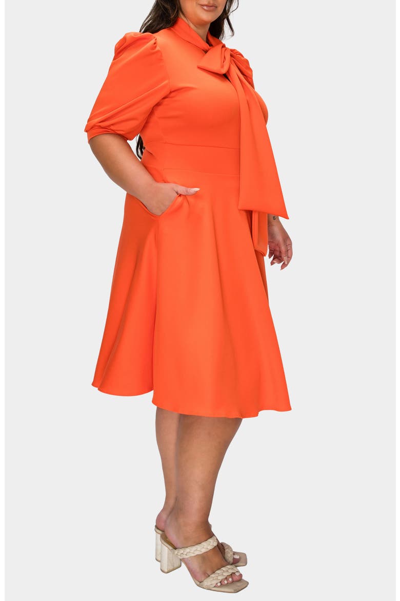 Carina Donna Fit & Flare Midi Dress, Alternate, color, ORANGE NEW