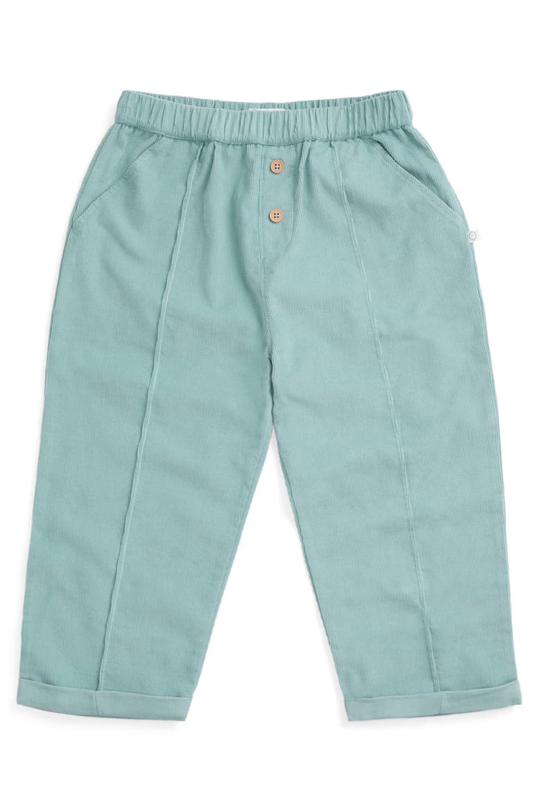 Corduroy Trousers, Main, color, Gray Mist