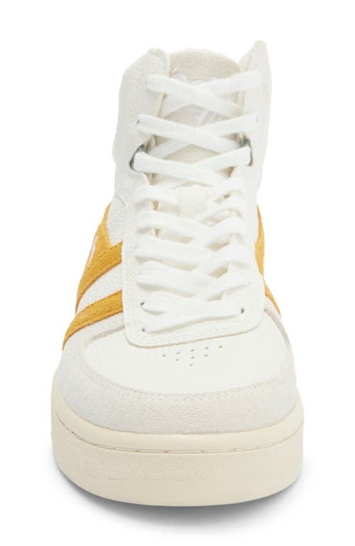 Gola Slam Trident Trainer Sneaker In White