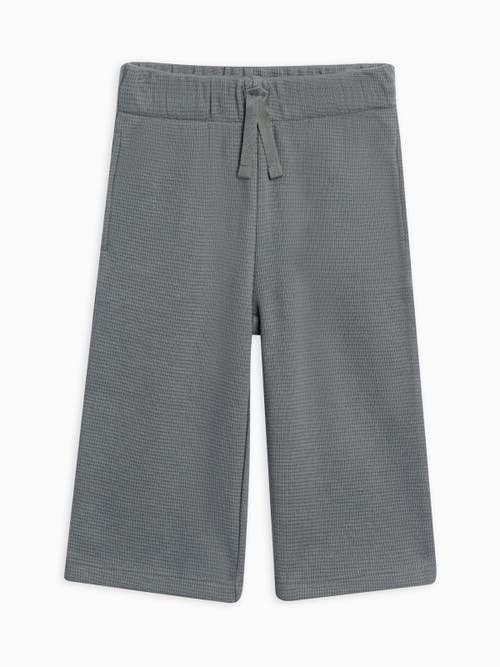 Kendi Clove Waffle Knit Pants In Gray