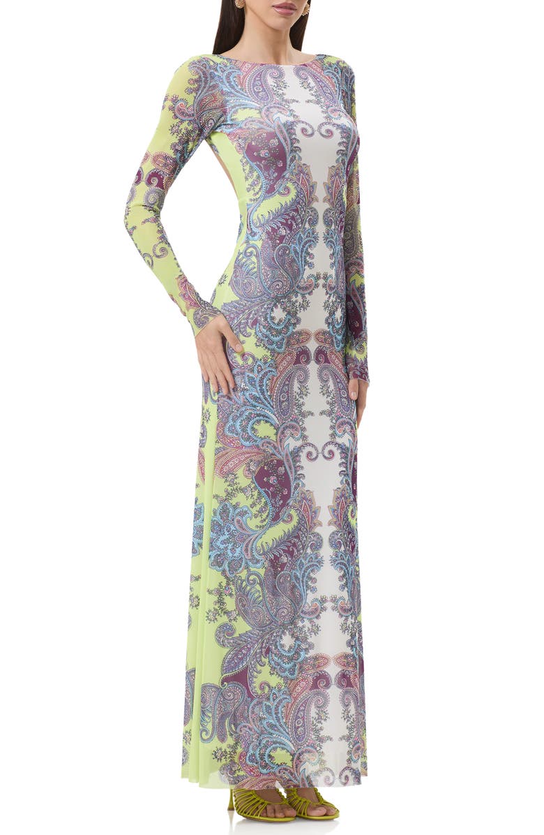 AFRM Talmo Long Sleeve Maxi Dress, Alternate, color, Citrus Paisley