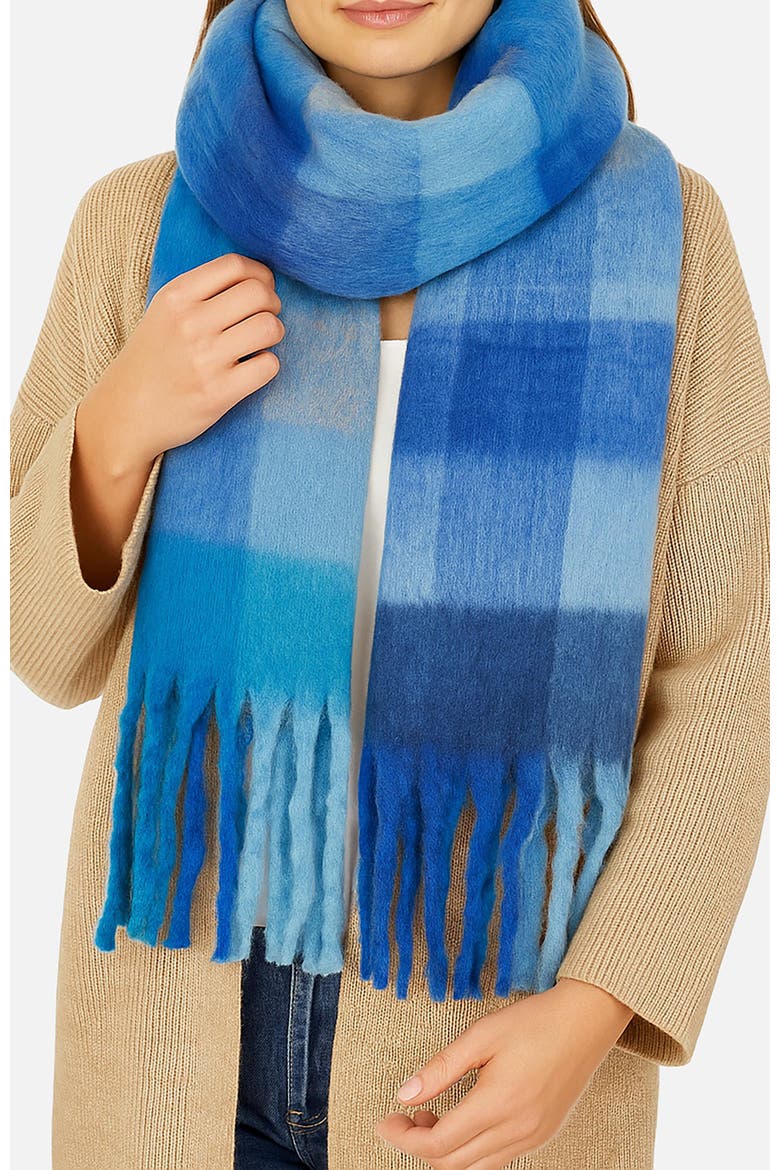 Check Soft Tassel Scarf, Alternate, color, Blue