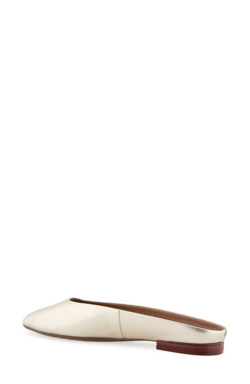 AEROSOLES AEROSOLES AMARA MULE